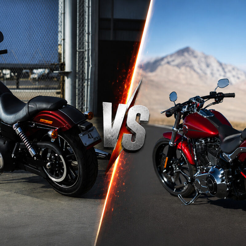 Dyna vs Softail