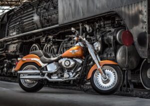 Dyna vs Softail