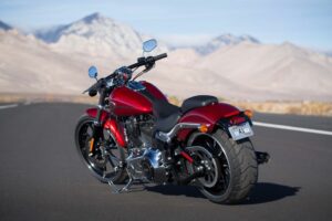 Dyna vs Softail