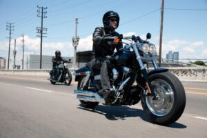 Dyna vs Softail