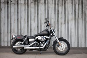 Dyna vs Softail