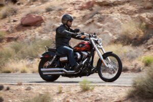 Dyna vs Softail