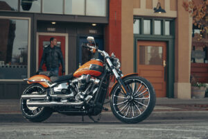 Dyna vs Softail