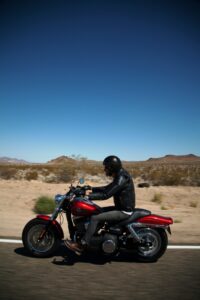 Dyna vs Softail