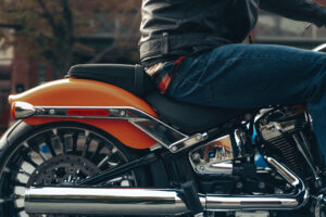 Dyna vs Softail