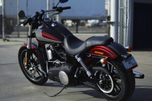 Dyna vs Softail