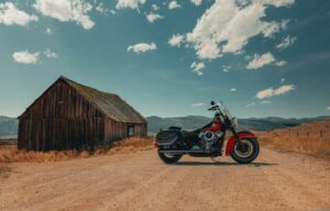 Dyna vs Softail