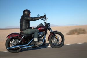 Dyna vs Softail