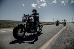 Dyna vs Softail