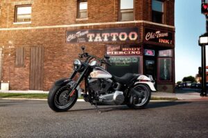 Dyna vs Softail