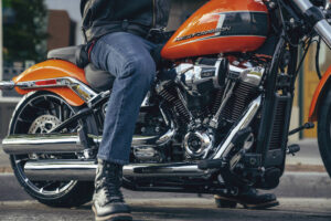 Dyna vs Softail