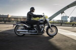 Dyna vs Softail